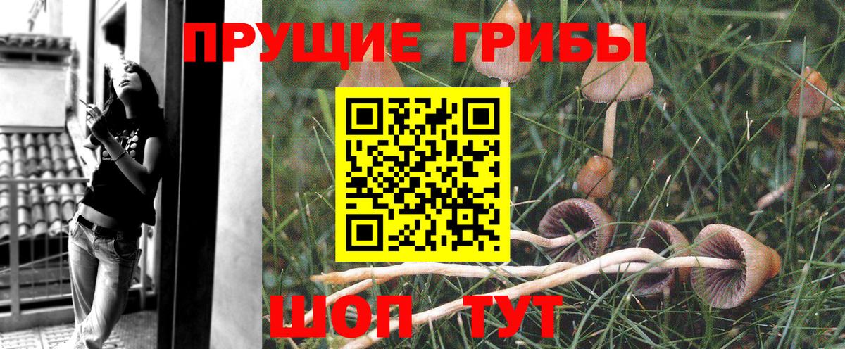 Галлюциногенные грибы Psilocybine cubensis  Галлюциногенные грибы Cubensis  Вход с VPN  Арсеньев 